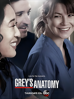 美剧《实习医生格蕾 第十季》Grey’s Anatomy Season 10 2013 1080P 英语中字 全24集 豆瓣 9.1分【28GB】