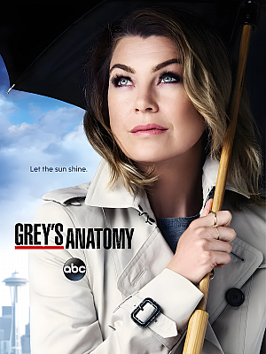 美剧《实习医生格蕾 第十二季》Grey’s Anatomy Season 12 2015 1080P 英语中字 全25集 豆瓣 8.7分【31GB】