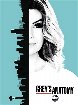 美剧《实习医生格蕾 第十三季》Grey’s Anatomy Season 13 2016 1080P 英语中字 全24集 豆瓣 8.7分【32GB】