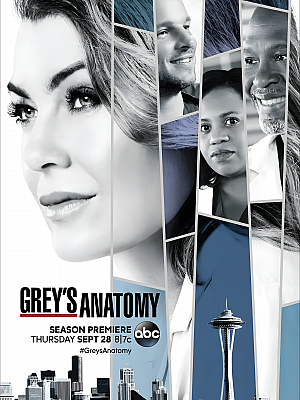 美剧《实习医生格蕾 第十四季》Grey’s Anatomy Season 14 2017 1080P 英语中字 全24集 豆瓣 9.1分【62GB】