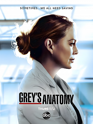 美剧《实习医生格蕾 第十七季》Grey’s Anatomy Season 17 2020 1080P 英语中字 全17集 豆瓣 8.8分【32GB】