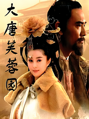 国产剧《大唐芙蓉园》2007 1080P 全30集 豆瓣 7.1分【81GB】