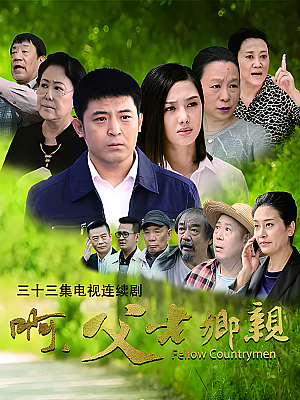 国产剧《啊,父老乡亲》2017 1080P 全33集 豆瓣 8.0分【22GB】