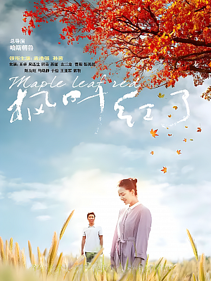 国产剧《枫叶红了》2020 2160P 全34集 豆瓣 6.0分【41GB】