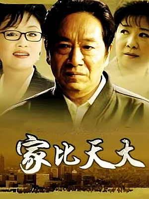 国产剧《家比天大》2007 1080P 全31集 豆瓣 7.5分【62GB】