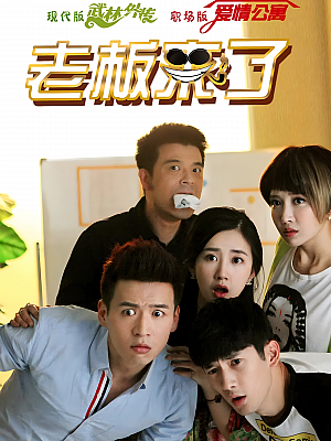 国产剧《老板来了》2016 1080P 全37集 豆瓣 8.2分【36GB】
