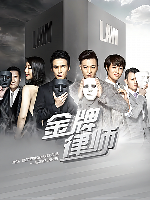 国产剧《金牌律师》2014 1080P 全39集 豆瓣 6.9分【73GB】
