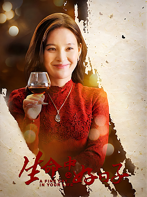 国产剧《生命中的好日子》2016 1080P 全40集 豆瓣 7.3分【79GB】
