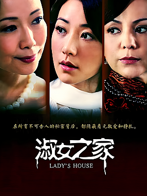 国产剧《淑女之家》2014 1080P 全30集 豆瓣 7.2分【59GB】