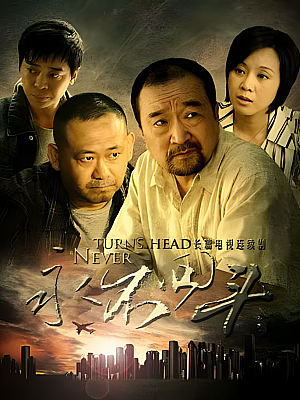 国产剧《永不回头》2010 2160P 全30集 豆瓣 8.6分【39GB】