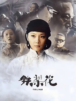 国产剧《铁梨花》2010 1080P 全43集 豆瓣 8.0分【83GB】