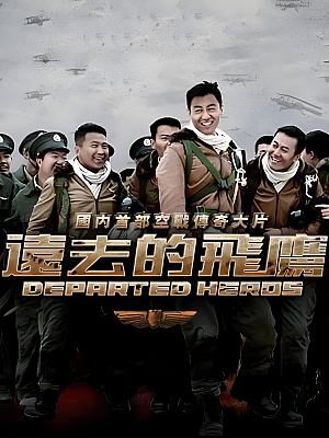 国产剧《远去的飞鹰》2011 1080P 全30集 豆瓣 8.3分【59GB】
