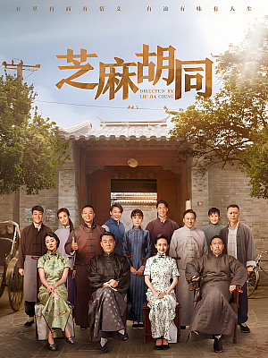 国产剧《芝麻胡同》2019 2160P 全55集 豆瓣 5.8分【112GB】