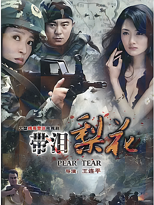 国产剧《红蝎子之带泪梨花》2011 1080P 全34集 豆瓣 7.8分【30GB】