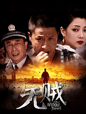 国产剧《无贼》2013 1080P 全48集 豆瓣 8.0分【94GB】