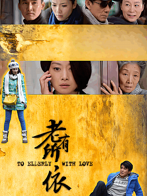 国产剧《老有所依》2013 1080P 全41集 豆瓣 7.8分【40GB】
