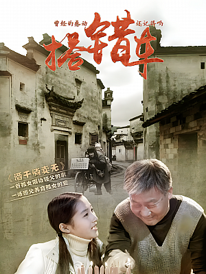 国产剧《搭错车》2015 1080P 全38集 豆瓣 8.0分