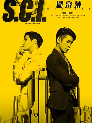 国产剧《S.C.I.谜案集》2018 2160P 全24集 豆瓣 7.0分【26GB】