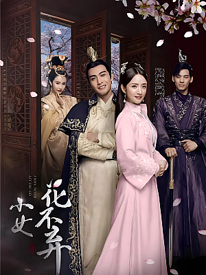国产剧《小女花不弃》2019 2160P 全51集 豆瓣 5.6分【94GB】