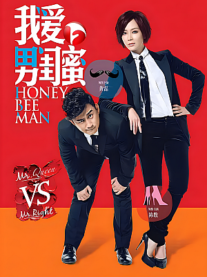 国产剧《我爱男闺蜜》2014 2160P 全34集 豆瓣 7.3分【89GB】