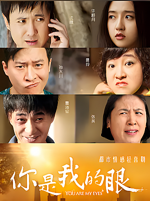 国产剧《你是我的眼》2015 2160P 全32集 豆瓣 7.1分【68GB】