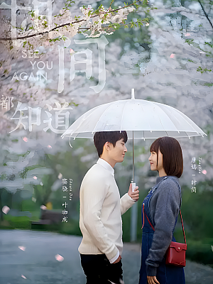 国产剧《时间都知道》2019 2160P 全45集 豆瓣 5.1分【59GB】