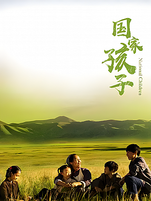 国产剧《国家孩子》2019 2160P 全40集 豆瓣 7.2分【61GB】