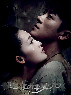 国产剧《花开半夏》2013 2160P 全30集 豆瓣 7.2分【77GB】