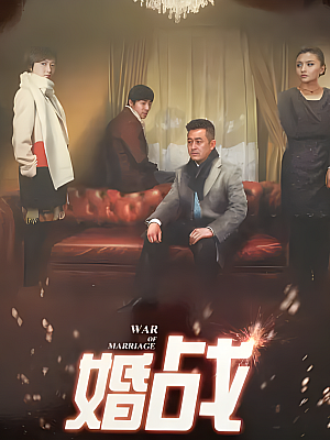 国产剧《婚战》2014 2160P 全30集 豆瓣 6.4分【145GB】