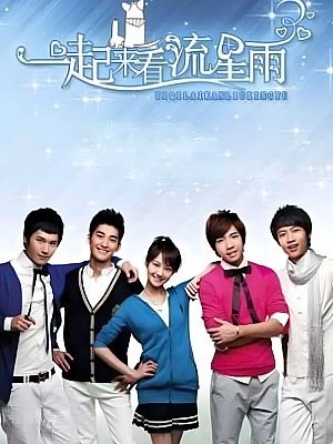国产剧《一起来看流星雨》2009 2160P 全36集 豆瓣 5.7分【98GB】