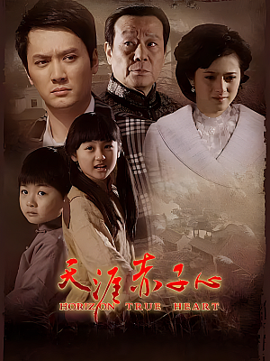国产剧《天涯赤子心》2010 2160P 全38集 豆瓣 7.2分【89GB】