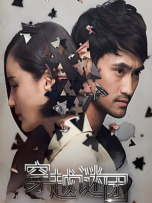 国产剧《穿越谜团》2016 2160P 全36集 豆瓣 7.0分【47GB】