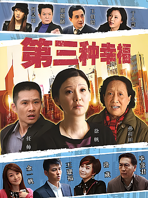 国产剧《第三种幸福》2013 2160P 全34集 豆瓣 5.4分【88GB】