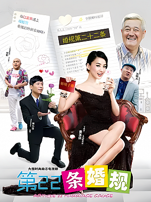 国产剧《第22条婚规 第一部》2013 2160P 全35集 豆瓣 5.3分【63GB】