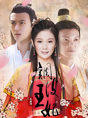 国产剧《调皮王妃》2015 2160P 全40集 豆瓣 5.3分【65GB】