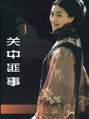 国产剧《关中匪事》2003 2160P 全30集 豆瓣 8.5分【32GB】