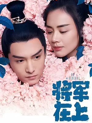 国产剧《将军在上》2017 2160P 全60集 豆瓣 5.3分【73GB】