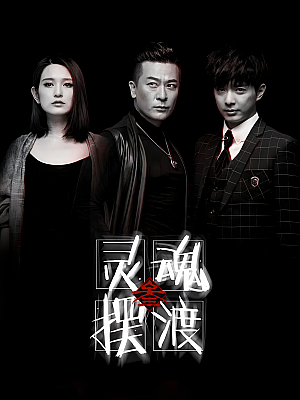 国产剧《灵魂摆渡 第三部》2016 2160P 全13集 豆瓣 7.6分【25GB】