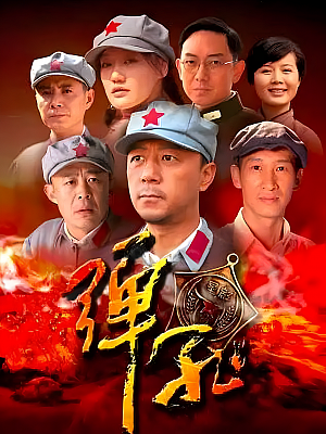国产剧《弹孔》2011 1080P 全30集 豆瓣 6.2分【61GB】