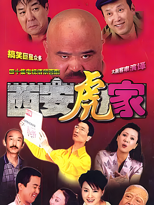 国产剧《西安虎家》2004 1080P 全40集 豆瓣 9.0分【40GB】