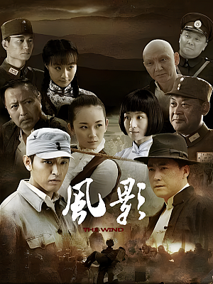 国产剧《风影》2013 2160P 全31集 豆瓣 5.5分【54GB】