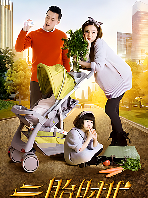 国产剧《二胎时代》2015 2160P 全42集 豆瓣 6.4分【48GB】