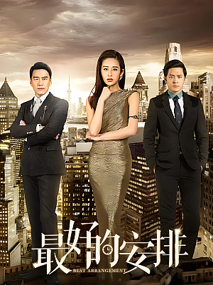 国产剧《最好的安排》2017 2160P 全40集 豆瓣 5.1分【89GB】