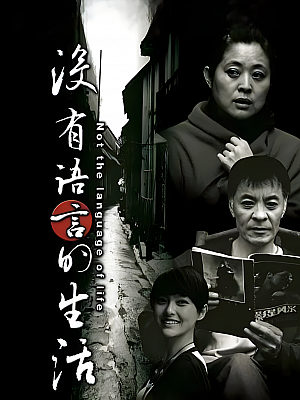 国产剧《没有语言的生活》2009 2160P 全20集 豆瓣 8.2分【18GB】