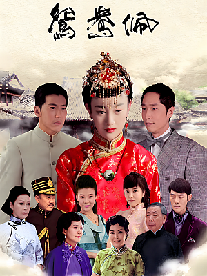 国产剧《鸳鸯佩》2013 2160P 全36集 豆瓣 5.5分【33GB】