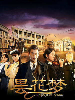 国产剧《昙花梦》2015 1080P 全43集 豆瓣 7.1分【108GB】