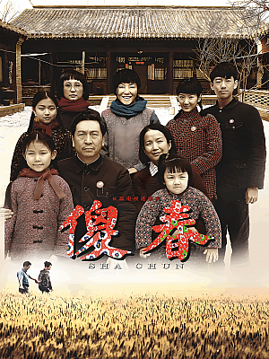 国产剧《傻春》2011 2160P 全34集 豆瓣 7.9分【78GB】