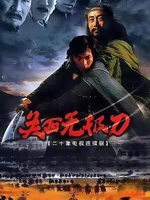 国产剧《关西无极刀》2003 1080P 全20集 豆瓣 7.8分【47GB】