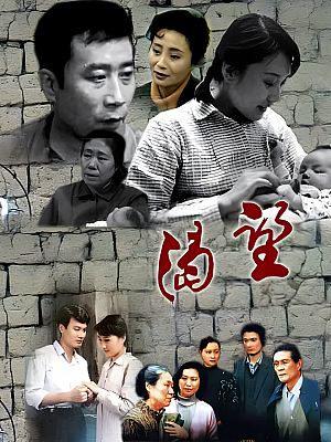 国产剧《渴望》1990 1080P 全50集 豆瓣 7.8分【65GB】