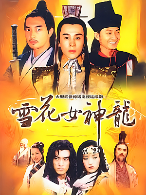 国产剧《雪花女神龙》2002 1080P 全45集 豆瓣 7.0分【31GB】